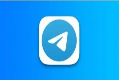 纸飞机强拉-Telgram简体中文语言包

